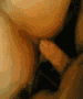 Arab sex lady